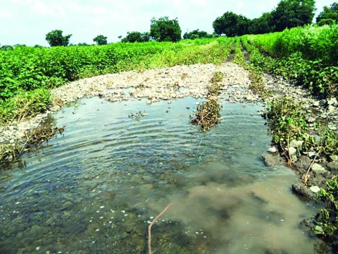 Agriculture Department on 'Election Mode': Monitoring crop losses! | कृषी विभाग ‘इलेक्शन मोड’वर : पीक नुकसानाची पाहणी रखडली! Agriculture Department on 'Election Mode': Monitoring crop losses! | कृषी विभाग ‘इलेक्शन मोड’वर : पीक नुकसानाची पाहणी रखडली!