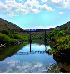 Dhamani was stopped due to the decision of the pastoral stage | चरण्याचे कुरण ठरविल्याने ‘धामणी’ रखडले Dhamani was stopped due to the decision of the pastoral stage | चरण्याचे कुरण ठरविल्याने ‘धामणी’ रखडले