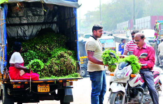 Vectuo of Ghettu; Kawidimolane Vegetable | घेता का विस्कटू ;कवडीमोलाने भाजीपाला