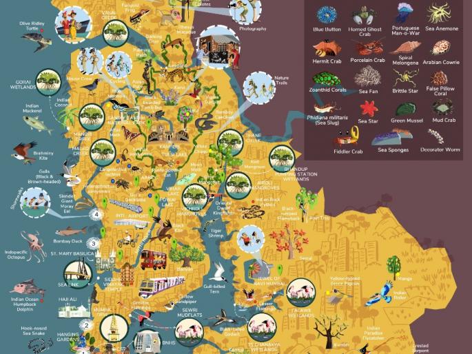 Biodiversity information can be found on the map | जैवविविधतेची माहिती नकाशातून मिळणार Biodiversity information can be found on the map | जैवविविधतेची माहिती नकाशातून मिळणार