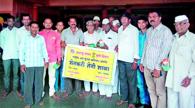 Distribution of pesticides through the Department of Agriculture to the farmers at Nandurvadi | नांदूरवैद्य येथील शेतकऱ्यांना कृषी विभागामार्फत कीटकनाशकांचे वाटप