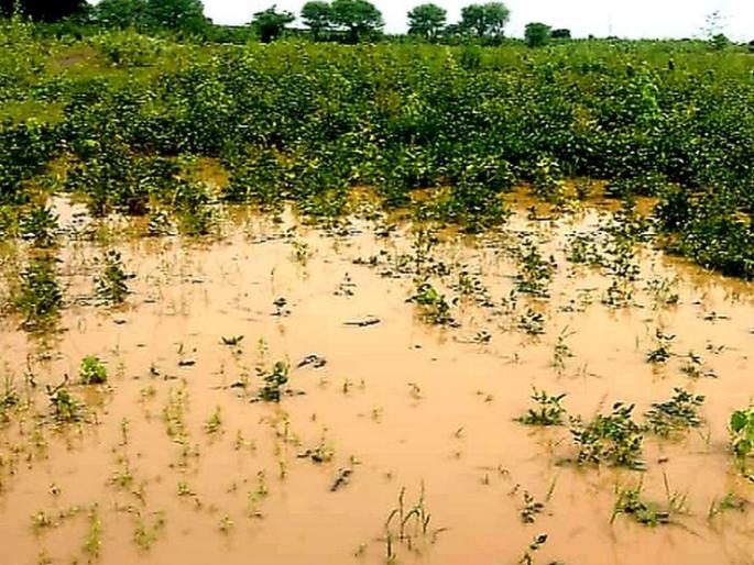 There were tears in the fields | शेतात पाणी साठले अन् नयनी अश्रू दाटले There were tears in the fields | शेतात पाणी साठले अन् नयनी अश्रू दाटले