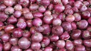 1 lakh quintals of onions arrived in Lasalgaon last week | लासलगावी गत सप्ताहात १ लाख क्विंटल कांद्याची आवक 1 lakh quintals of onions arrived in Lasalgaon last week | लासलगावी गत सप्ताहात १ लाख क्विंटल कांद्याची आवक