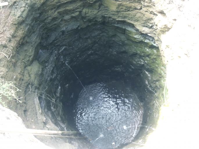 Palakhed left canal waiting for water | पालखेड डावा कालवा पाण्याच्या प्रतिक्षेत