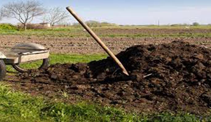 Parbhani: Universities fund for organic farming | परभणी : सेंद्रीय शेतीसाठी विद्यापीठांना निधी