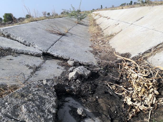 Parbhani: Right canal inadequate milk production | परभणी : निम्न दुधना प्रकल्पाच्या उजव्या कालव्याची दुरवस्था Parbhani: Right canal inadequate milk production | परभणी : निम्न दुधना प्रकल्पाच्या उजव्या कालव्याची दुरवस्था