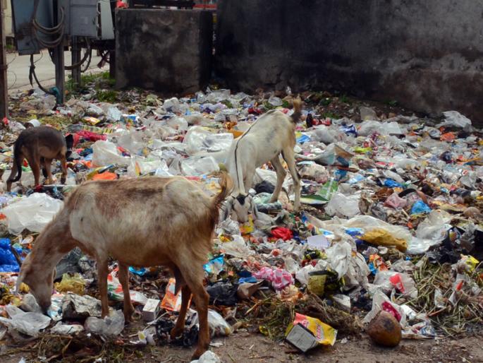 District ranked at 29th position in Parbhani state: Cleanliness only from 23 works | परभणी राज्यात जिल्हा २९ व्या स्थानावर : केवळ २३ कामांमधूनच स्वच्छतेचे दर्शन