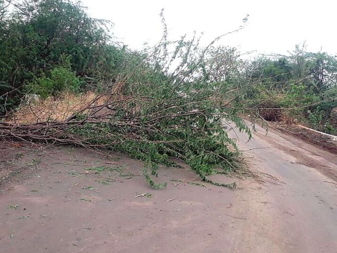 The storm hits the stormy area: the roof, the letters were flown | वादळी वा-याचा राशीन परिसराला तडाखा : छप्पर,पत्रे उडाले The storm hits the stormy area: the roof, the letters were flown | वादळी वा-याचा राशीन परिसराला तडाखा : छप्पर,पत्रे उडाले