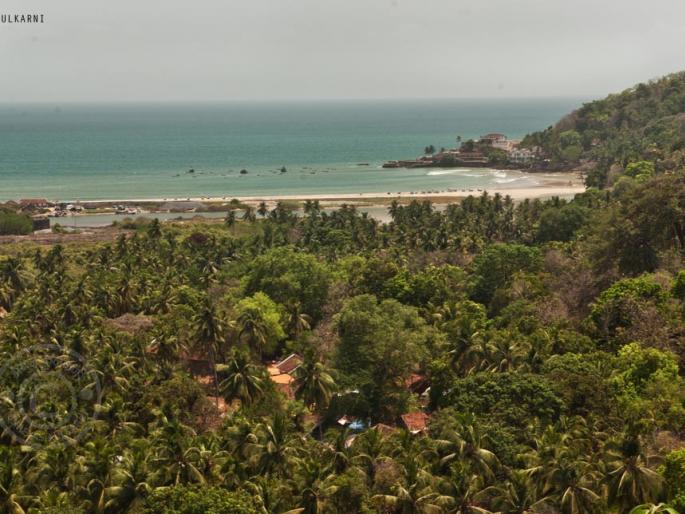 Early in Vengurle, slaughter of trees in the beach area, complaint to tahsiladar: tree trunk panchanama | वेंगुर्लेतील सुरुचे बन, बीच परिसरातील झाडांची कत्तल, तहसीलदारांकडे तक्रार : वृक्षतोडीचा महसूलकडून पंचनामा Early in Vengurle, slaughter of trees in the beach area, complaint to tahsiladar: tree trunk panchanama | वेंगुर्लेतील सुरुचे बन, बीच परिसरातील झाडांची कत्तल, तहसीलदारांकडे तक्रार : वृक्षतोडीचा महसूलकडून पंचनामा