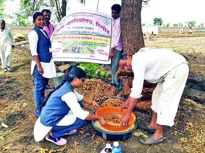Agricultural Seed Processing, Planting Demonstration Campaign | कृषिकन्यांनी राबविली बीजप्रक्रिया, लागवड प्रात्यक्षिक मोहीम Agricultural Seed Processing, Planting Demonstration Campaign | कृषिकन्यांनी राबविली बीजप्रक्रिया, लागवड प्रात्यक्षिक मोहीम