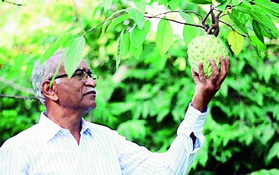 Sitafala gave me publicity all over the country | सिताफळाने मला देशभर प्रसिद्धी मिळवून दिली Sitafala gave me publicity all over the country | सिताफळाने मला देशभर प्रसिद्धी मिळवून दिली