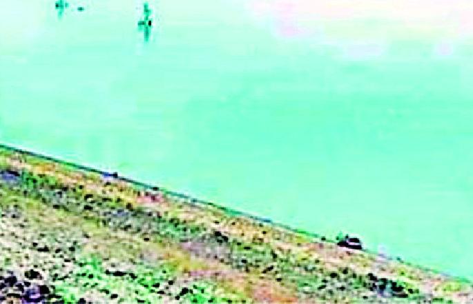 'Bore' and 'Dham' will support farmers during the rabi season | ‘बोर’ अन् ‘धाम’ देणार रबी हंगामात शेतकऱ्यांना आधार 'Bore' and 'Dham' will support farmers during the rabi season | ‘बोर’ अन् ‘धाम’ देणार रबी हंगामात शेतकऱ्यांना आधार