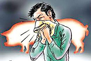 Swine Flu knock in Vani taluka | स्वाईन फ्ल्यूची वणी तालुक्यात दस्तक Swine Flu knock in Vani taluka | स्वाईन फ्ल्यूची वणी तालुक्यात दस्तक