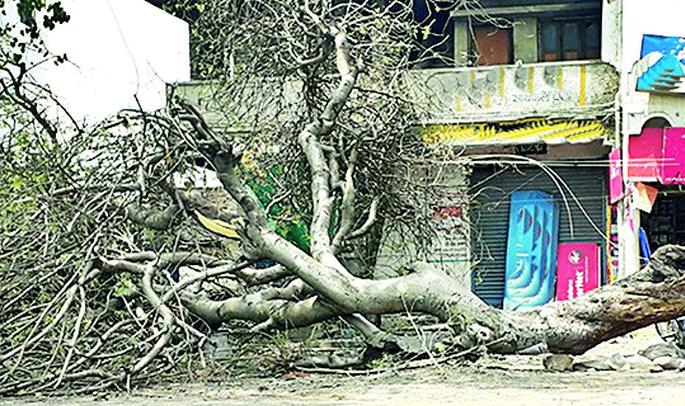Rainfall of windy rain in Wani area | वणी परिसराला अवकाळी वादळी पावसाचा तडाखा