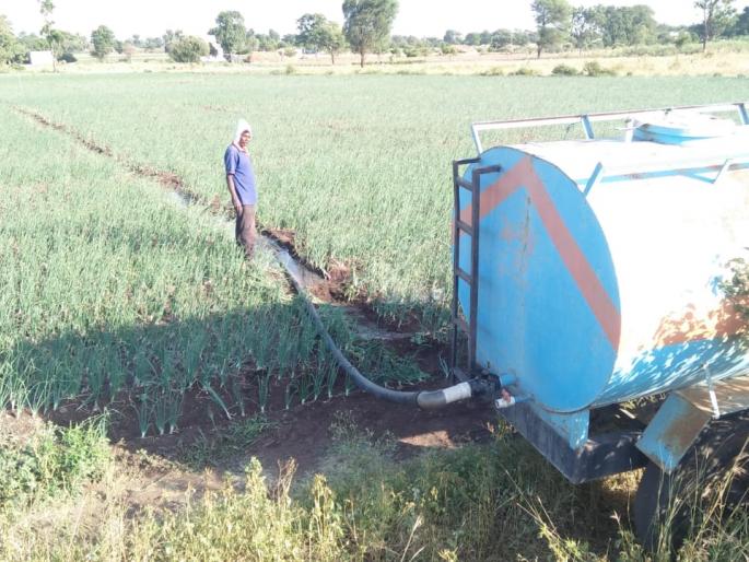 Water by onion crop tanker | कांदा पिकाला टँकर द्वारे पाणी Water by onion crop tanker | कांदा पिकाला टँकर द्वारे पाणी