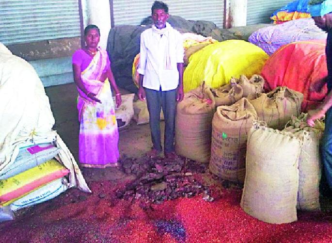 Ture Sedley in Ner Markets Committee | नेर बाजार समितीत तूर सडली