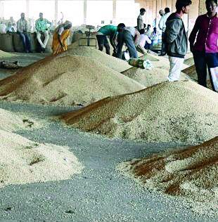 Five crore rupees were stuck | पाच कोटींचे चुकारे अडले Five crore rupees were stuck | पाच कोटींचे चुकारे अडले