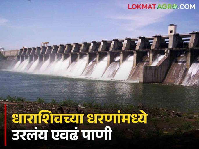 The water storage in the dams in Dharashiv is increasing, with low water levels in the Sina Kolegaon dam | धाराशिवमधील धरणांमध्ये पाणीसाठा वाढतोय, निम्न तेरणासह सिना कोळेगाव धरणात एवढे पाणी The water storage in the dams in Dharashiv is increasing, with low water levels in the Sina Kolegaon dam | धाराशिवमधील धरणांमध्ये पाणीसाठा वाढतोय, निम्न तेरणासह सिना कोळेगाव धरणात एवढे पाणी
