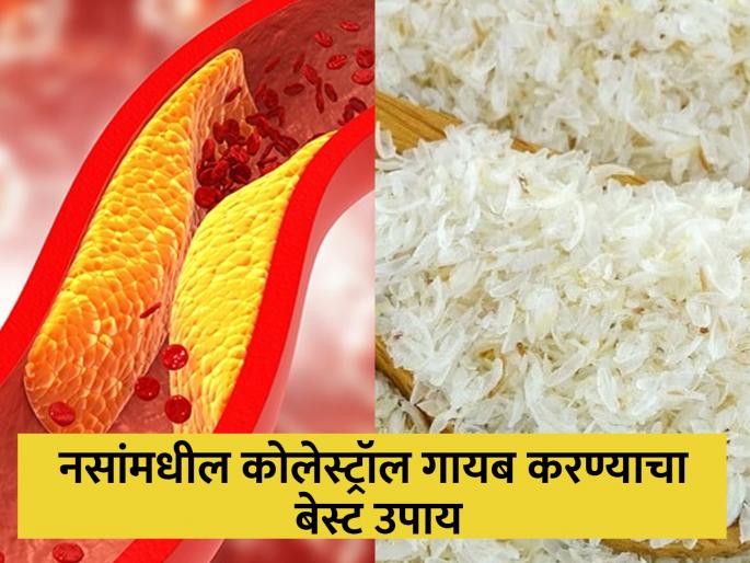Isabgol lowers high cholesterol level through toilet in the morning | सकाळी टॉयलेटद्वारे बाहेर पडेल शरीरातील बॅड कोलेस्ट्रॉल, हा सोपा उपाय ठरेल बेस्ट! Isabgol lowers high cholesterol level through toilet in the morning | सकाळी टॉयलेटद्वारे बाहेर पडेल शरीरातील बॅड कोलेस्ट्रॉल, हा सोपा उपाय ठरेल बेस्ट!