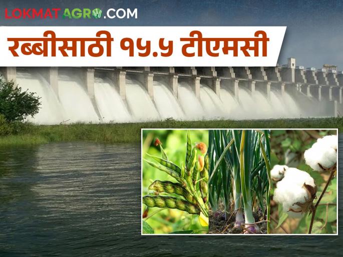 15.5 TMC water for Rabi season, when will water be released from Jayakwadi? | रब्बी हंगामासाठी १५.५ टीएमसी पाणी, जायकवाडीतून कधी सोडणार पाणी? 15.5 TMC water for Rabi season, when will water be released from Jayakwadi? | रब्बी हंगामासाठी १५.५ टीएमसी पाणी, जायकवाडीतून कधी सोडणार पाणी?