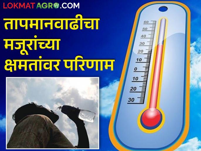 Climate change: The effect of warming on the body of laborers! | climate change: तापमानवाढीचा मजूरांच्या शरिरावर होतोय परिणाम! Climate change: The effect of warming on the body of laborers! | climate change: तापमानवाढीचा मजूरांच्या शरिरावर होतोय परिणाम!