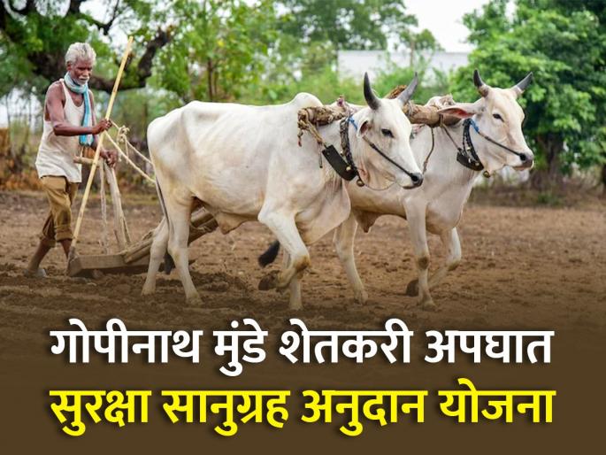 Gopinath Munde Farmers Accident death Safety Relief Grant Scheme Know in detail | अपघाती मृत्यू झाल्यास शेतकऱ्यांना मिळणार २ लाखांची भरपाई! जाणून घ्या योजनेविषयी सविस्तर Gopinath Munde Farmers Accident death Safety Relief Grant Scheme Know in detail | अपघाती मृत्यू झाल्यास शेतकऱ्यांना मिळणार २ लाखांची भरपाई! जाणून घ्या योजनेविषयी सविस्तर