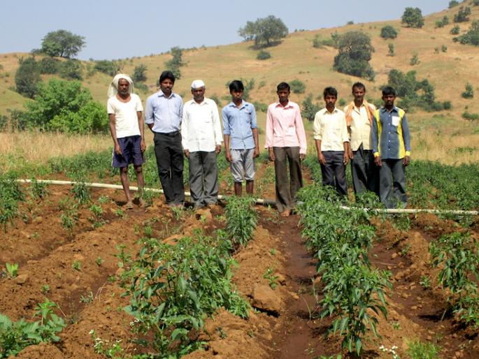 Twenty-seven thousand farmers are the beneficiaries of the loan waiver; Relief to farmers in Palghar-Thane district | सव्वीस हजार शेतकरी कर्जमाफीचे लाभार्थी; पालघर-ठाणे जिल्ह्यातील शेतकऱ्यांना दिलासा
