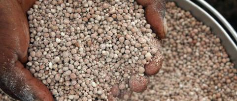 The racket of the company selling fake fertilizers in Karmalya was destroyed | करमाळ्यातील बनावट खतविक्री करणाºया कंपनीचे रॅकेट उध्दवस्त  The racket of the company selling fake fertilizers in Karmalya was destroyed | करमाळ्यातील बनावट खतविक्री करणाºया कंपनीचे रॅकेट उध्दवस्त