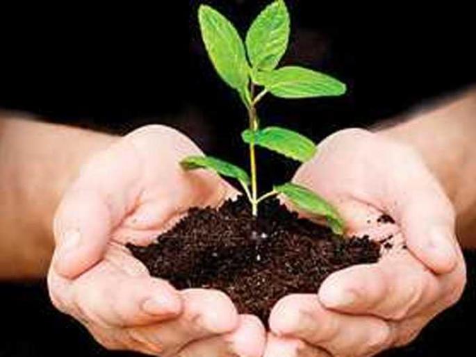 Now with the help of organizations, nine lakh trees have been planted | सामाजिक वनीकरण; आता संस्थांच्या मदतीने नऊ लाख वृक्षारोपणाचा केला संकल्प Now with the help of organizations, nine lakh trees have been planted | सामाजिक वनीकरण; आता संस्थांच्या मदतीने नऊ लाख वृक्षारोपणाचा केला संकल्प