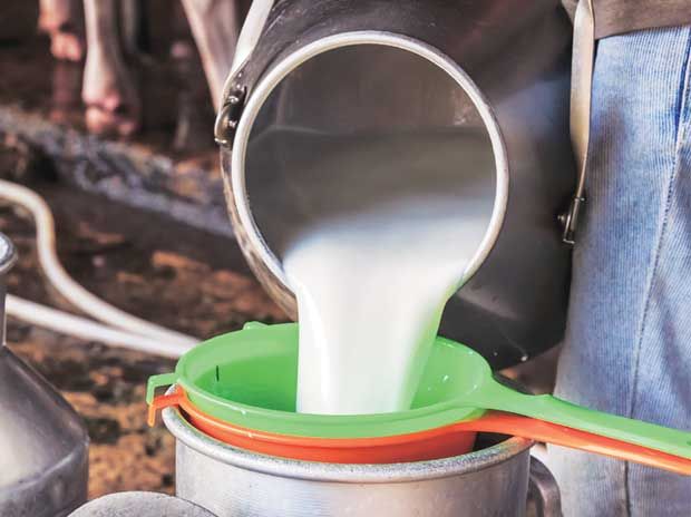 There are 1749 co-operative dairy societies in Amravati are in liquidity | अमरावती विभागातील १७४९ सहकारी दुग्ध संस्था अवसायनात There are 1749 co-operative dairy societies in Amravati are in liquidity | अमरावती विभागातील १७४९ सहकारी दुग्ध संस्था अवसायनात