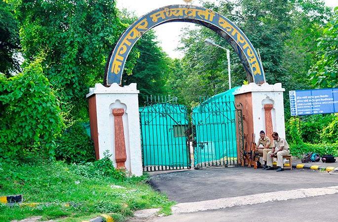 Give 'it' cover letter to Ehtesham Siddhiki, prisoner of bomb blast | मुंबई साखळी बॉम्बस्फोटाच्या फेरतपासासाठी कैदी एहतेशाम सिद्धिकीला ‘त्या’ प्रति द्या Give 'it' cover letter to Ehtesham Siddhiki, prisoner of bomb blast | मुंबई साखळी बॉम्बस्फोटाच्या फेरतपासासाठी कैदी एहतेशाम सिद्धिकीला ‘त्या’ प्रति द्या