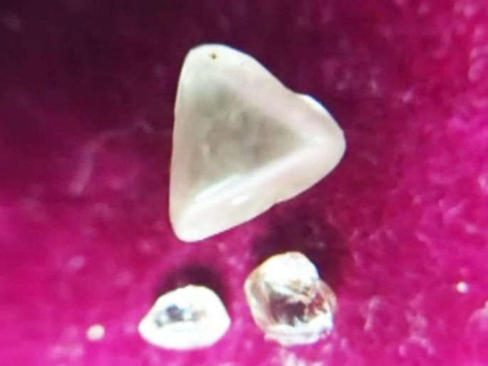 panna woman find 3 precious diamonds at once | याला म्हणतात नशीब! आदिवासी महिलेला सापडले ३ मौल्यवान हिरे; रातोरात झाली लखपती panna woman find 3 precious diamonds at once | याला म्हणतात नशीब! आदिवासी महिलेला सापडले ३ मौल्यवान हिरे; रातोरात झाली लखपती