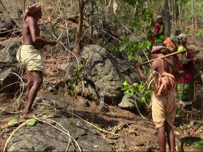 There is no fund in the forest department, the salaries of forest laborers are stagnant | वनविभागात निधी नाही, वनमजुरांचे वेतन रखडले
