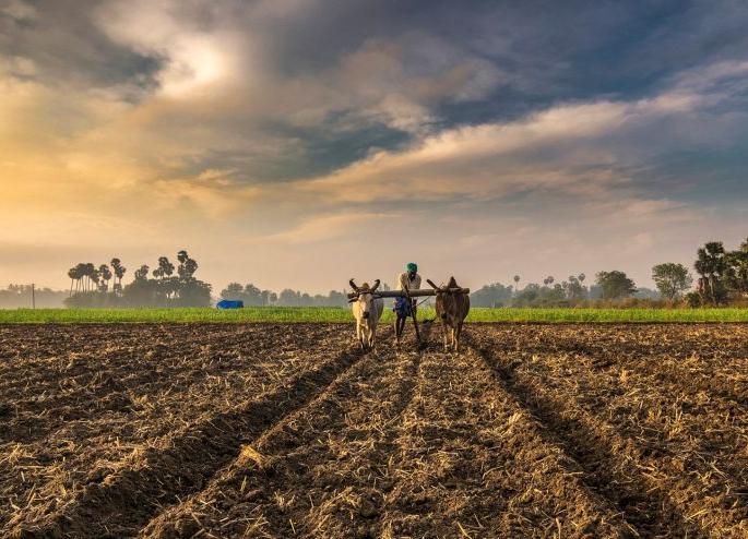 Preparations for cultivation are in the final stage | शेती मशागतीची तयारी अंतिम टप्प्यात