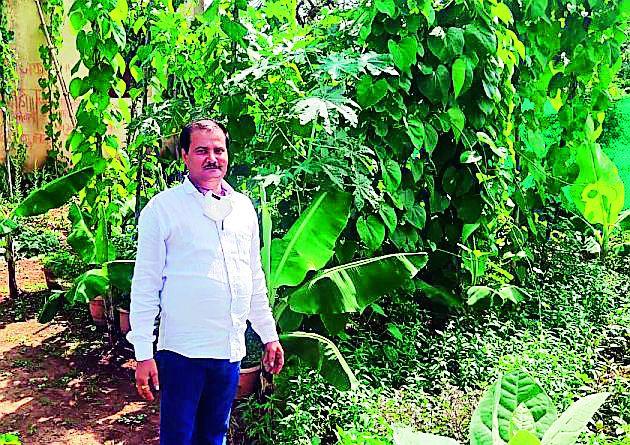 The whole house is surrounded by vines. There is a traditional heritage behind it | 'त्यांच्या' संपूर्ण घराला वेढले आहे वेलींनी.. त्याच्या कारणामागे आहे एक परंपरागत वारसा The whole house is surrounded by vines. There is a traditional heritage behind it | 'त्यांच्या' संपूर्ण घराला वेढले आहे वेलींनी.. त्याच्या कारणामागे आहे एक परंपरागत वारसा
