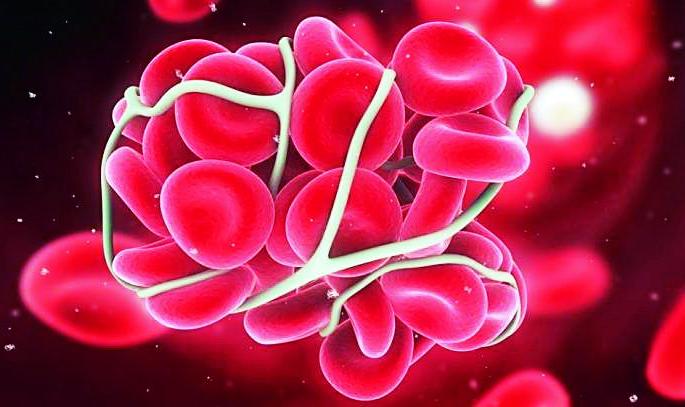 Patients of Aplastic Anemia are without Record in Nagpur! | नागपुरात अप्लॅस्टिक अ‍ॅनिमियाचे रुग्ण नोंदीविनाच!