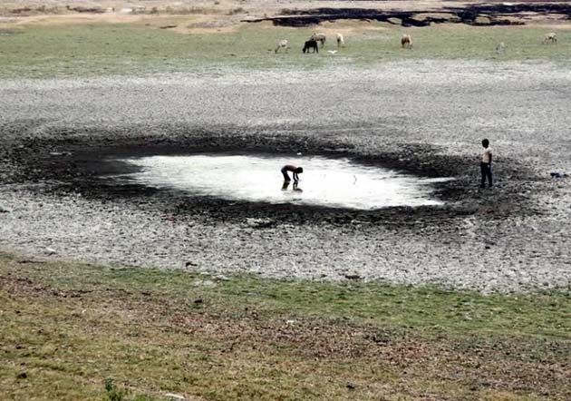 Lakes in Gondia district are became dry | गोंदिया या तलावांच्या जिल्ह्यातच पाण्याचा ठणठणाट Lakes in Gondia district are became dry | गोंदिया या तलावांच्या जिल्ह्यातच पाण्याचा ठणठणाट