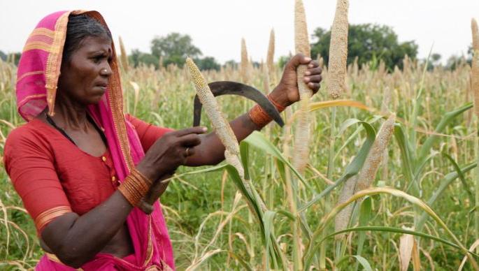 Gondia District Central Co. Bank provides crop loan repayment period of 3 months | गोंदियाच्या जिल्हा मध्यवर्ती सह. बँकेने दिली पीक कर्जफेडीस ३ महिन्यांची मुदतवाढ Gondia District Central Co. Bank provides crop loan repayment period of 3 months | गोंदियाच्या जिल्हा मध्यवर्ती सह. बँकेने दिली पीक कर्जफेडीस ३ महिन्यांची मुदतवाढ