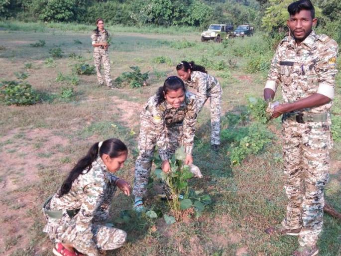 The story of the tiger is now told by women guides in the state | राज्यात आता महिला गाईड सांगताहेत वाघोबाच्या साम्राज्याची गोष्ट The story of the tiger is now told by women guides in the state | राज्यात आता महिला गाईड सांगताहेत वाघोबाच्या साम्राज्याची गोष्ट