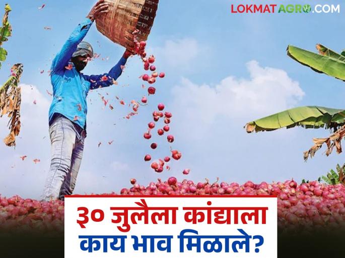 Latest news kanda market Satisfactory onion prices in Nagpur district compared to Nashik, Pune, read today's market | Kanda Market : नाशिक, पुणेपेक्षा नागपूर जिल्ह्यात कांद्याला समाधानकारक दर, वाचा आजचे मार्केट Latest news kanda market Satisfactory onion prices in Nagpur district compared to Nashik, Pune, read today's market | Kanda Market : नाशिक, पुणेपेक्षा नागपूर जिल्ह्यात कांद्याला समाधानकारक दर, वाचा आजचे मार्केट