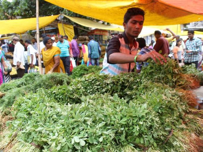 taomaentaoncai-avaka-vaadhalai | टोमॅटोंची आवक वाढली taomaentaoncai-avaka-vaadhalai | टोमॅटोंची आवक वाढली