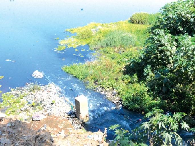 Flooding of river pollution, take review every fifteen days | नदी प्रदूषणाची झाडाझडती, दर पंधरा दिवसांनी घेणार आढावा Flooding of river pollution, take review every fifteen days | नदी प्रदूषणाची झाडाझडती, दर पंधरा दिवसांनी घेणार आढावा