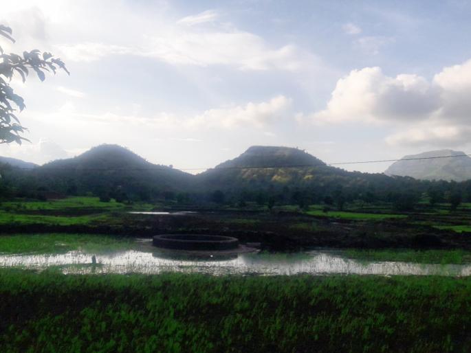 Rimjim rains in the catchment area of Bhandardara-Mula dam | भंडारदरा-मुळा धरणाच्या पाणलोट क्षेत्रात रिमझिम पाऊस Rimjim rains in the catchment area of Bhandardara-Mula dam | भंडारदरा-मुळा धरणाच्या पाणलोट क्षेत्रात रिमझिम पाऊस