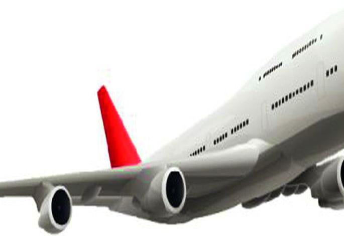 The barrier to the defense wall of the airport | विमानतळाच्या संरक्षण भिंतीला तारांचा अडसर