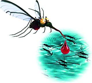 Dengue is the birthplace of mosquitoes in school, government offices! | शाळा, शासकीय कार्यालयांमध्ये डेंग्यू डासांची उत्पत्ती! Dengue is the birthplace of mosquitoes in school, government offices! | शाळा, शासकीय कार्यालयांमध्ये डेंग्यू डासांची उत्पत्ती!