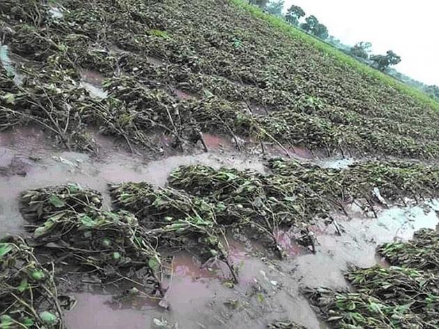 Report heavy rain damage | अतिवृष्टीच्या नुकसानीचे पंचनामे करा
