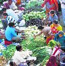 The rate of price rise is fast | फळभाज्यांचे दर तेजीतच The rate of price rise is fast | फळभाज्यांचे दर तेजीतच