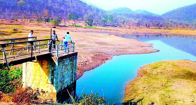 Leave Bawanthadi water in Bagheda reservoir | बघेडा जलाशयात बावनथडीचे पाणी सोडा Leave Bawanthadi water in Bagheda reservoir | बघेडा जलाशयात बावनथडीचे पाणी सोडा