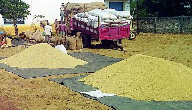 Opening of the paddy in the shopping center | खरेदी केंद्रात धान उघड्यावर
