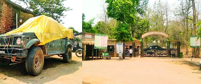 On the Gypsy site itself, the Pietzari Sanctuary Gate is also deserted | जिप्सी जाग्यावरच, पिटेझरी अभयारण्य गेटही सुनसान